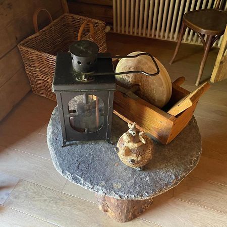Chalet Alpage Proche Geneve Mégevette 外观 照片