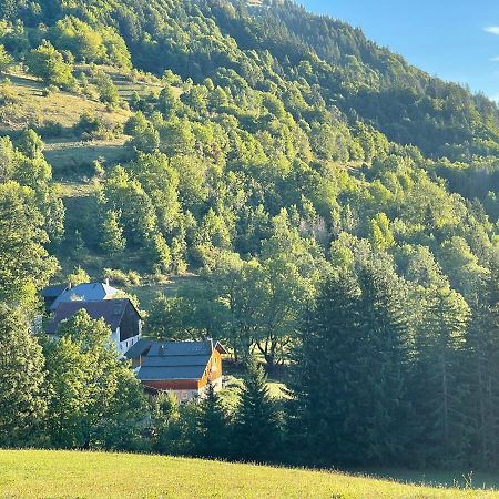 Chalet Alpage Proche Geneve Mégevette 外观 照片