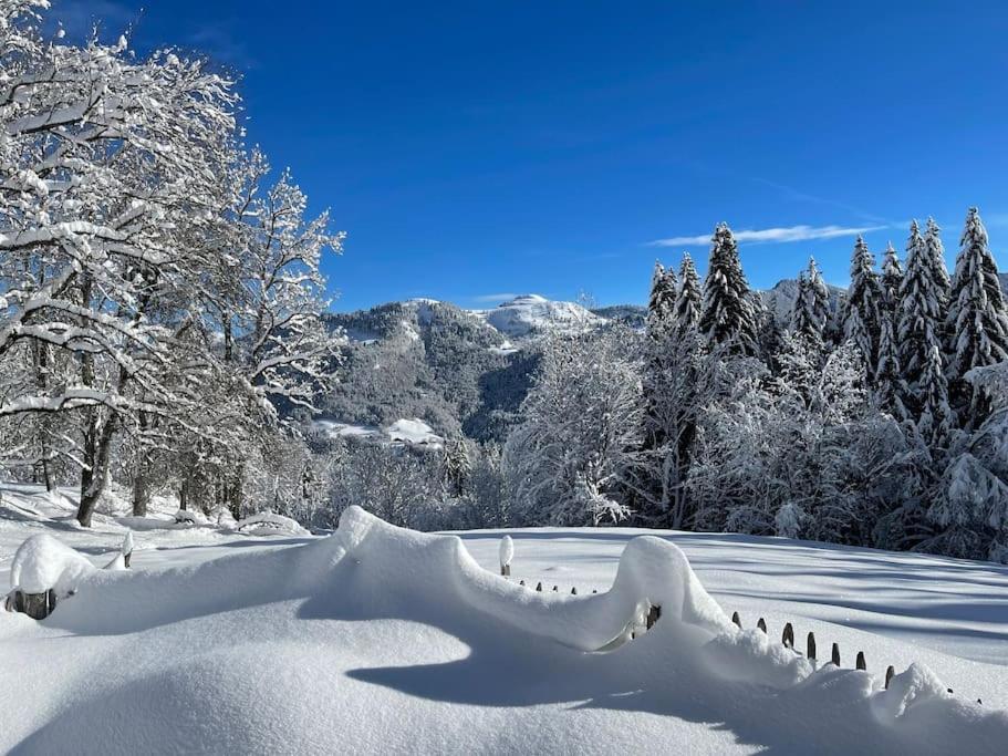Chalet Alpage Proche Geneve Mégevette 外观 照片