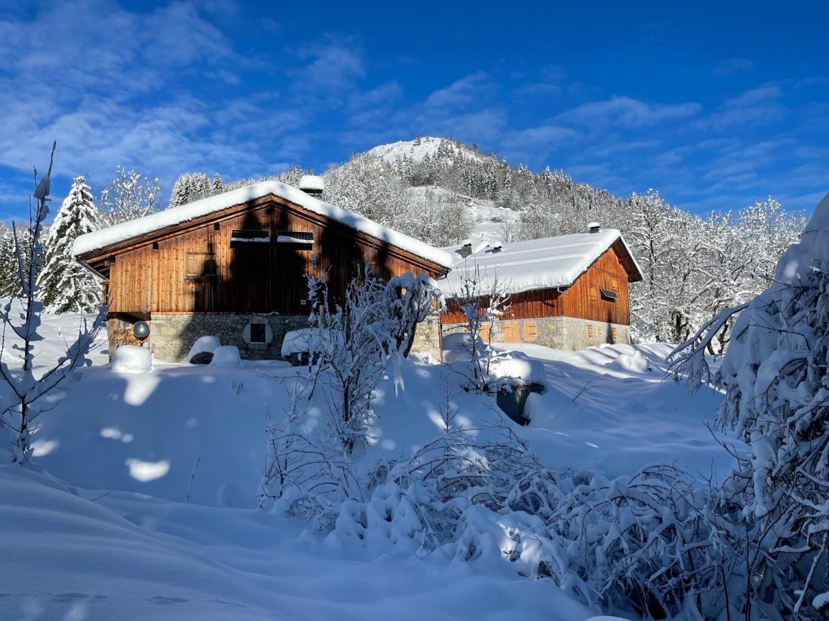 Chalet Alpage Proche Geneve Mégevette 外观 照片
