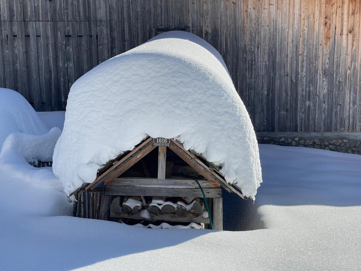 Chalet Alpage Proche Geneve Mégevette 外观 照片