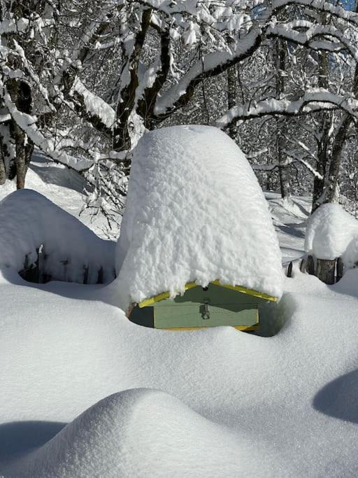 Chalet Alpage Proche Geneve Mégevette 外观 照片