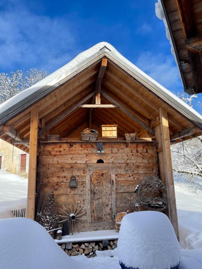 Chalet Alpage Proche Geneve Mégevette 外观 照片