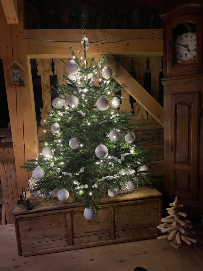 Chalet Alpage Proche Geneve Mégevette 外观 照片