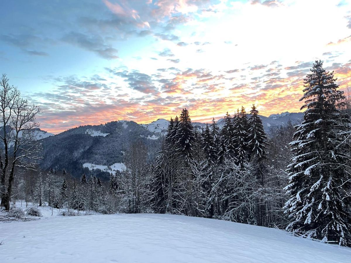 Chalet Alpage Proche Geneve Mégevette 外观 照片
