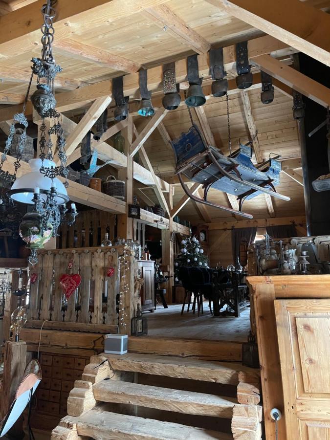 Chalet Alpage Proche Geneve Mégevette 外观 照片