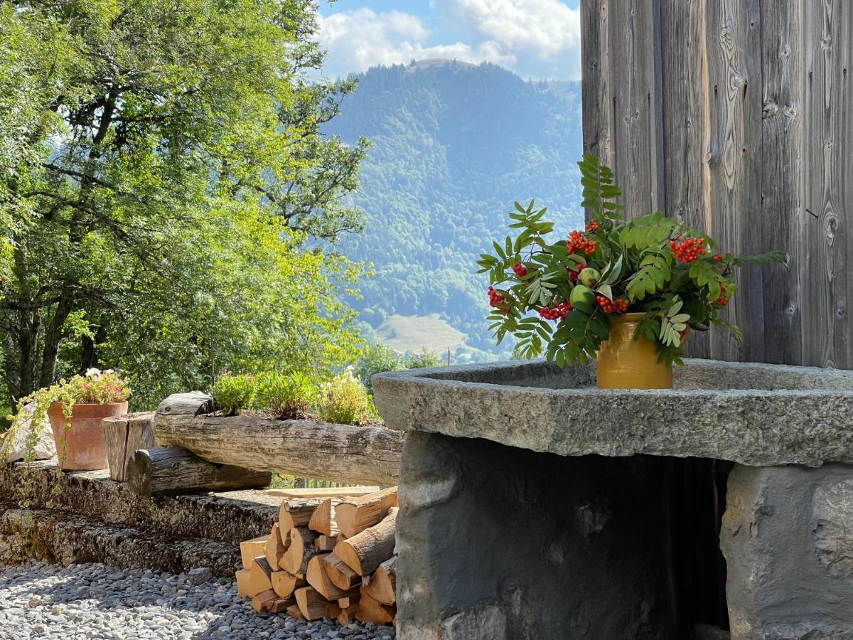 Chalet Alpage Proche Geneve Mégevette 外观 照片