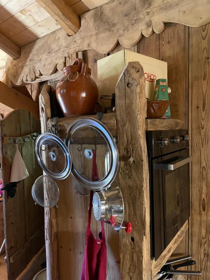Chalet Alpage Proche Geneve Mégevette 外观 照片
