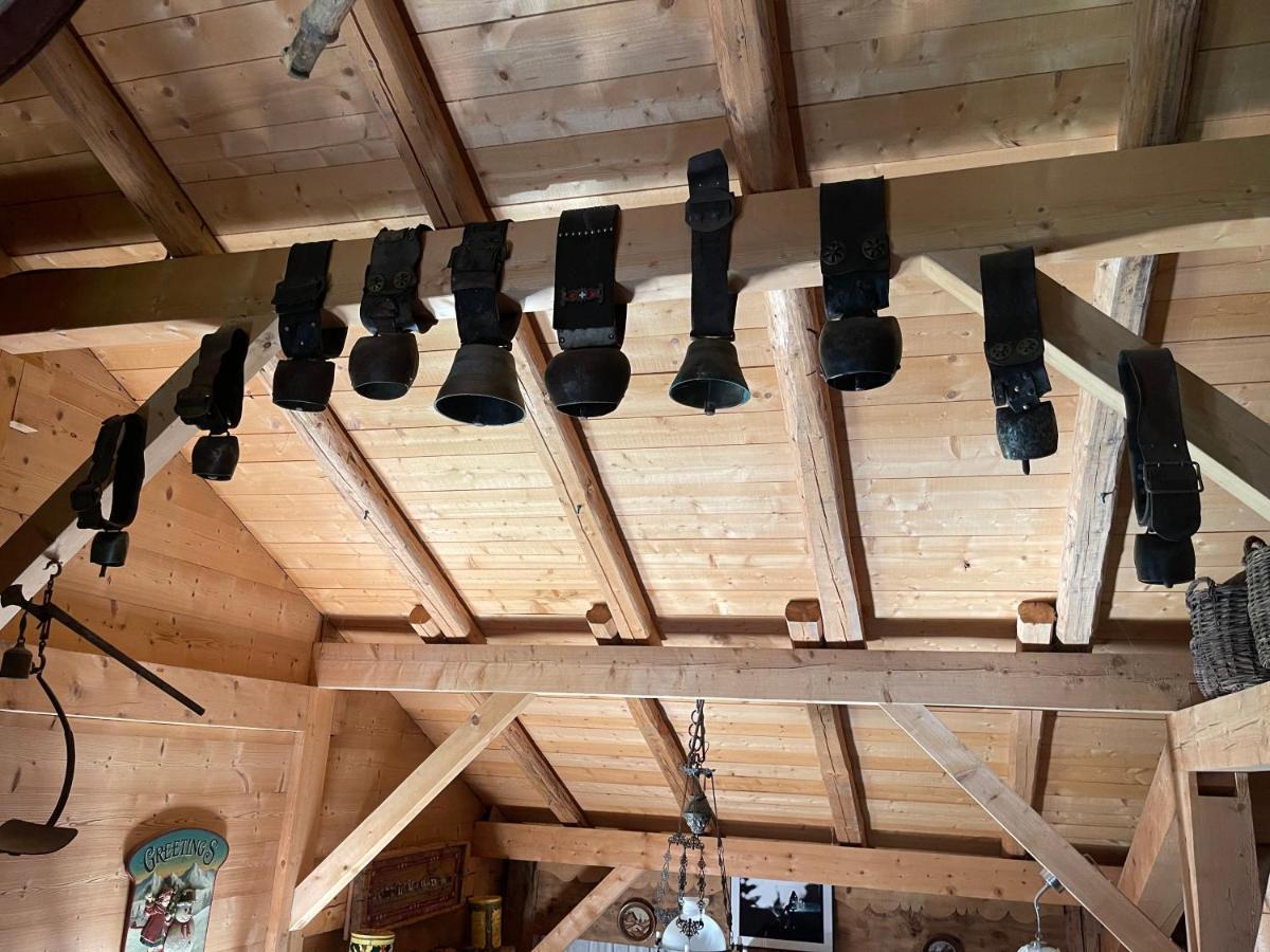 Chalet Alpage Proche Geneve Mégevette 外观 照片