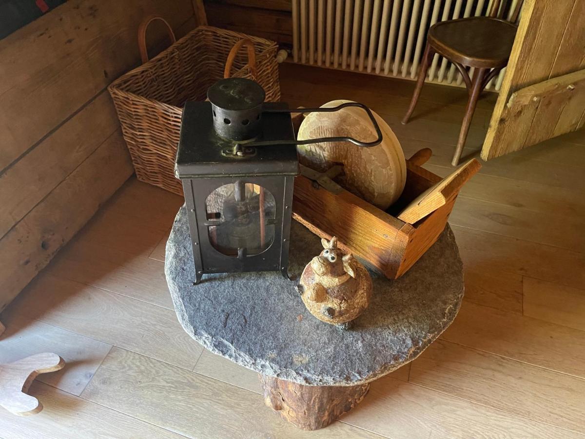 Chalet Alpage Proche Geneve Mégevette 外观 照片