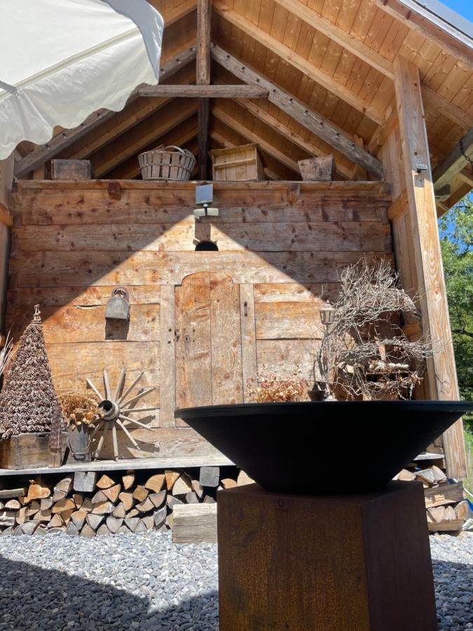 Chalet Alpage Proche Geneve Mégevette 外观 照片