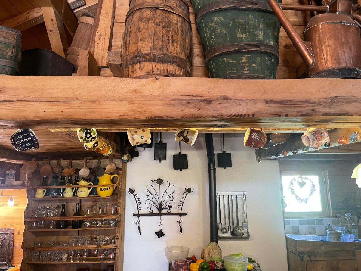 Chalet Alpage Proche Geneve Mégevette 外观 照片